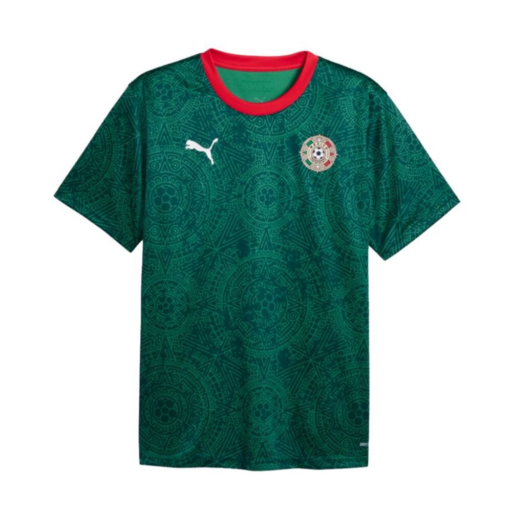 Puma Mexico Fifa World Cup Teamsport Jersey Fan Pack Mexico Mens Green 660607